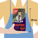 Alimento-Ascan-Perro-Adulto-Razas-Peque-as-1kg-5-74188