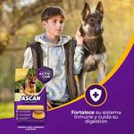 Alimento-Ascan-Perro-Adulto-Razas-Mediana-Y-Grande-12-Meses-En-Adelante-18kg-6-24777