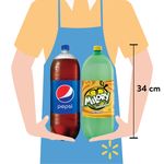 2-Pack-Bebida-Pepsi-Y-Toronja-6000ml-2-32527