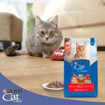 Alimento-Seco-Gato-Adulto-Purina-Cat-Chow-Carne-1-5kg-6-76914