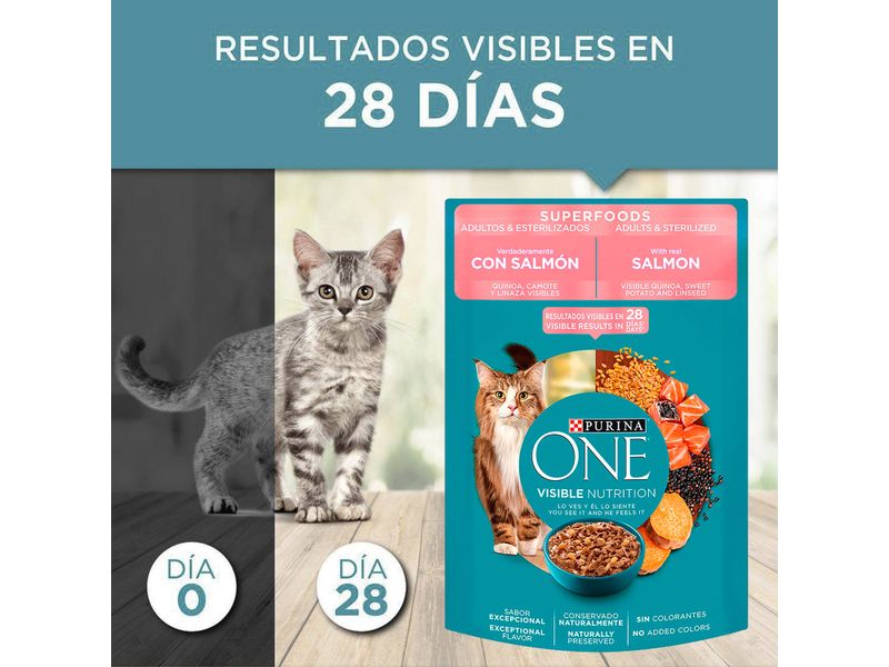 Alimento-H-medo-Gato-Adulto-Purina-One-S-per-Food-85gr-7-79826