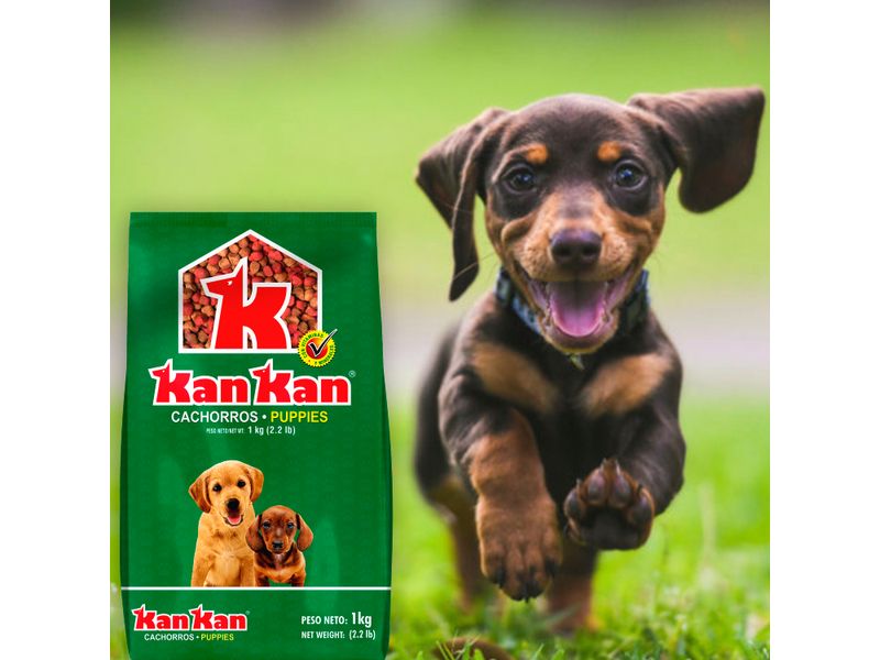 Alimento-Kan-Kan-Perro-Cachorro-Todas-Las-Razas-1kg-6-87148