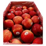 Manzana-Gala-Caja-De-80-Unidades-3-97062