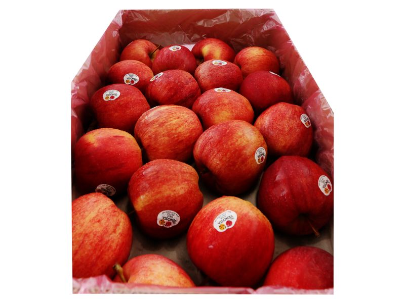 Manzana-Gala-Caja-De-80-Unidades-3-97062