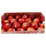 Manzana-Gala-Caja-De-80-Unidades-4-97062