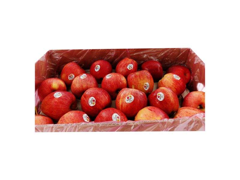 Manzana-Gala-Caja-De-80-Unidades-4-97062