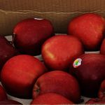 Manzana-Roja-Caja-De-80-Unidades-2-97064