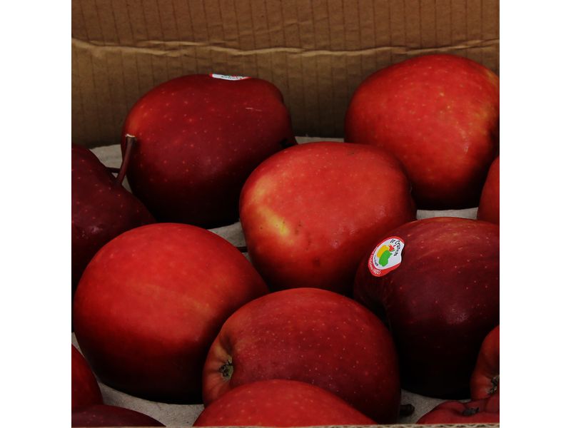 Manzana-Roja-Caja-De-80-Unidades-2-97064