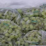 000000000075096682-UN-02