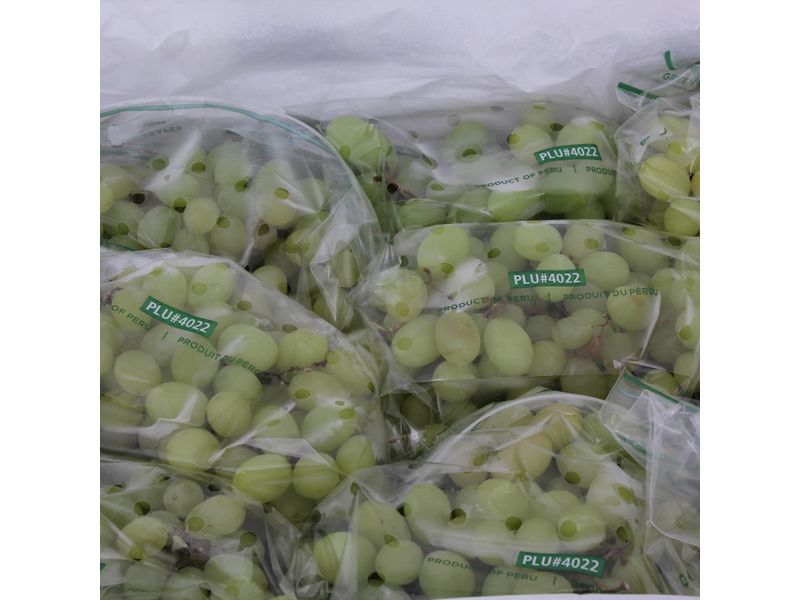 000000000075096682-UN-02