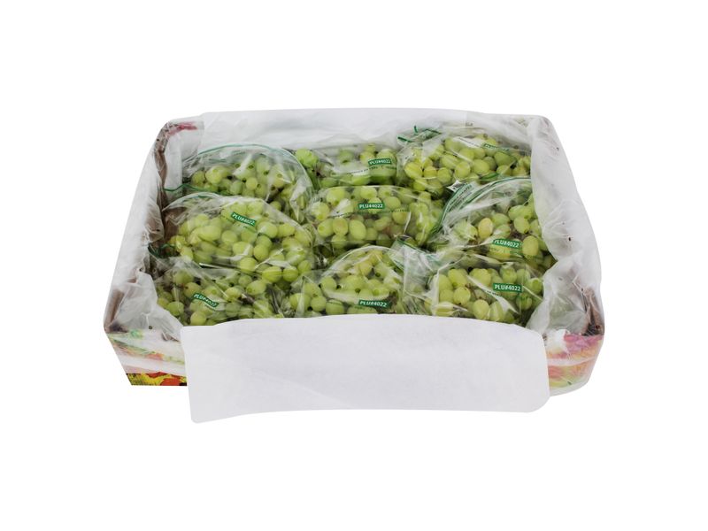 000000000075096682-UN-01