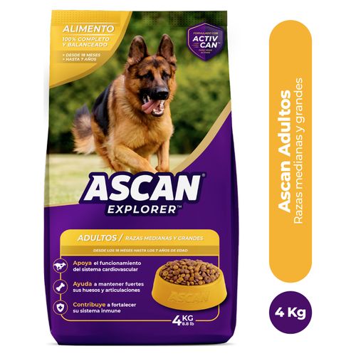 Alimento Ascan Perro Adulto Razas Mediana Y Grande, 12 Meses En Adelante - 4kg