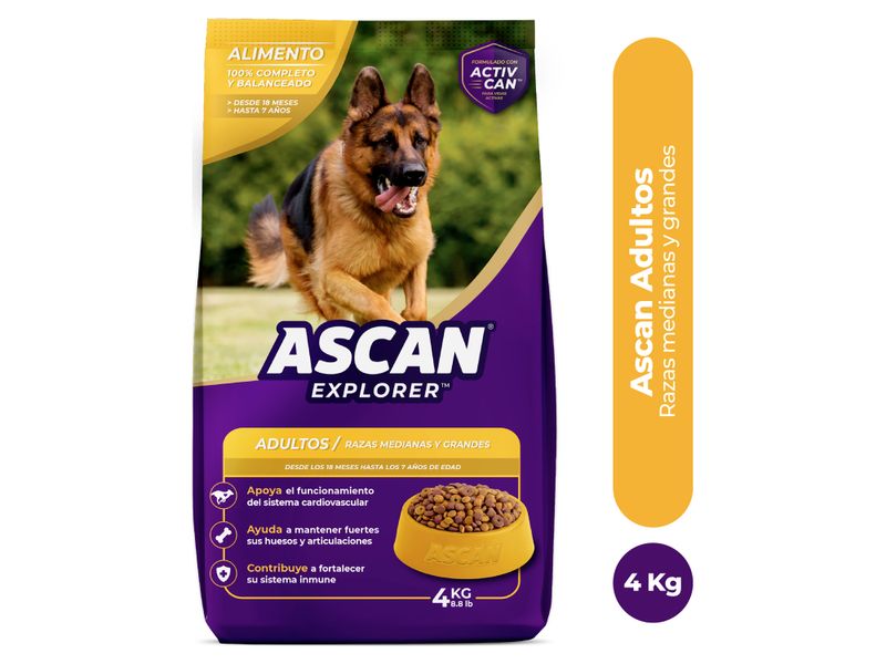 Alimento-Ascan-Perro-Adulto-Razas-Mediana-Y-Grande-12-Meses-En-Adelante-4kg-1-26820