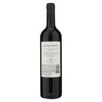 Vino-Tinto-Benjamin-Cabernet-Sauvignon-750ml-2-84314