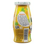 Yogurt-Dos-Pinos-Lula-sabor-Melocot-n-100ml-4-94145