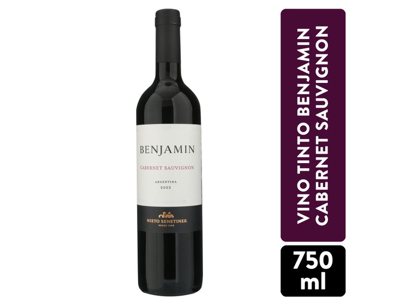 Vino-Tinto-Benjamin-Cabernet-Sauvignon-750ml-1-84314
