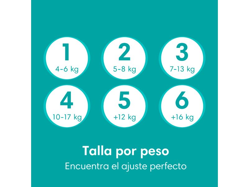 Pa-ales-Pampers-Baby-Dry-Talla-2-5-kg-56uds-7-28958