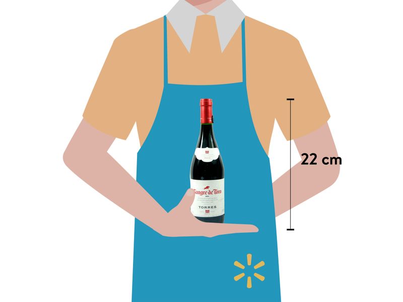Vino-Tinto-Torres-Sangre-De-Toro-750-Ml-3-26526