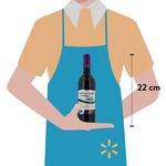 Vino-Tinto-Two-Oceans-Syrah-750ml-3-37186