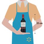 Vino-Carmen-Tinto-Cabernet-Sauvignon-750ml-3-41284