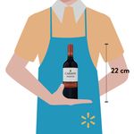 Vino-Carmen-Tinto-Carmener-750ml-3-28642