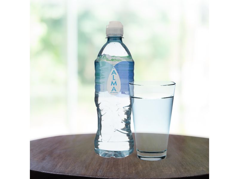 Agua-Alma-Dos-Pinos-Purificada-600ml-5-82877