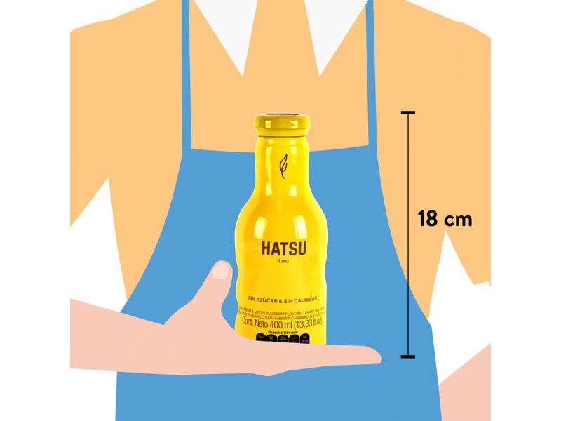 Bebida-Hatsu-Te-Bco-Carambola-Bot-400Ml-3-29543