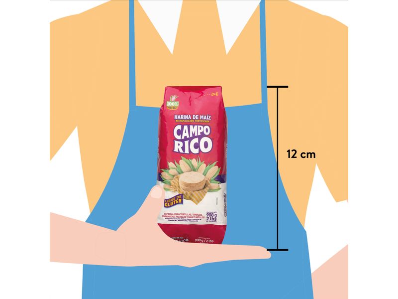 Harina-Campo-Rico-De-Ma-z-908gr-3-81767