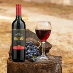 Vino-Tinto-Santa-Cecilia-Cabernet-Sauvignon-750ml-4-76053