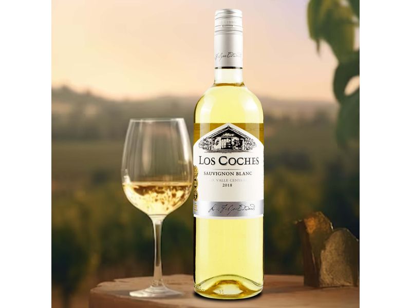 Vino-Los-Coches-Sauvignon-Blanco-750ml-4-30322