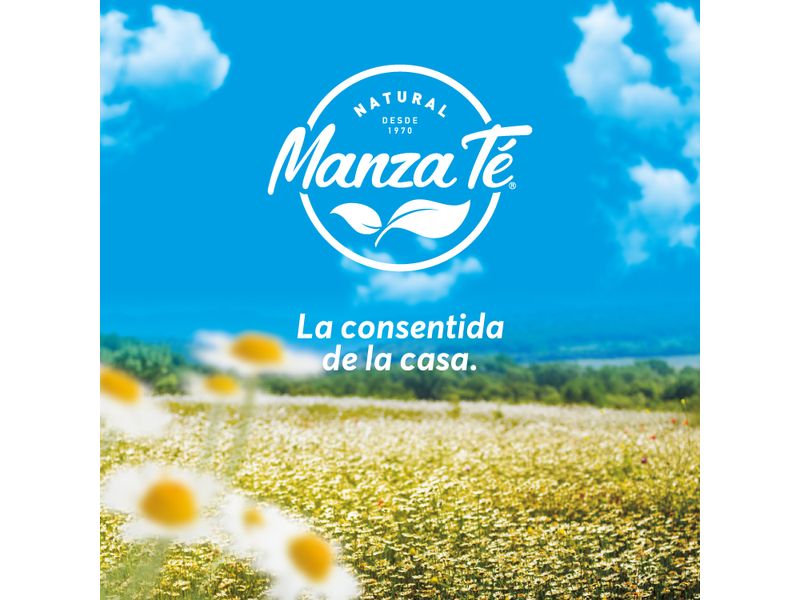 T-Manzanilla-Manzate-Bolsa-25-Unidades-25gr-4-31631