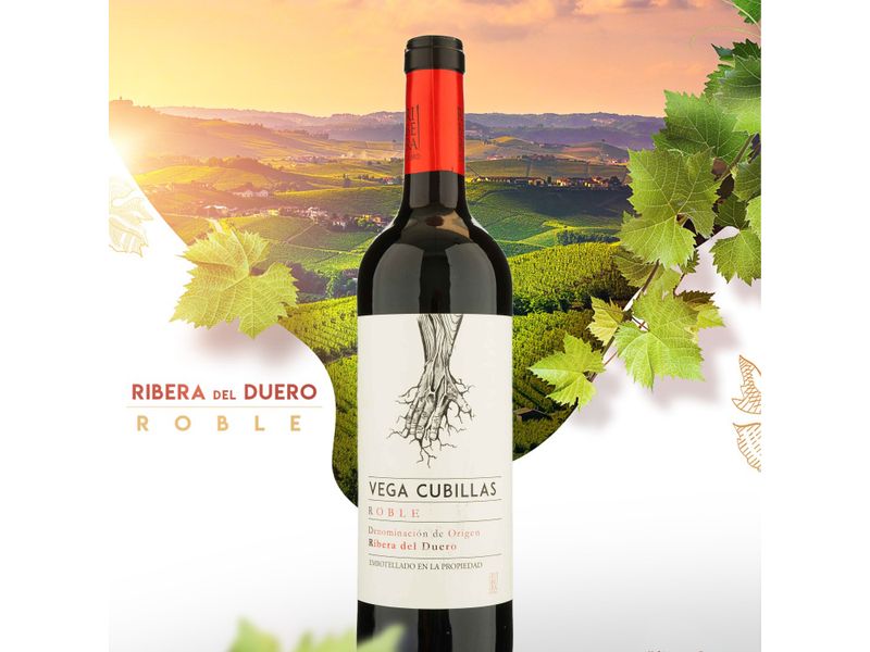 Vino-Tinto-Vega-Cubillas-Ribera-del-Duero-Roble-750ml-4-77872