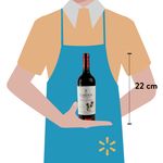 Vino-D-Paula-Cardos-Tin-Cab-S-750-Ml-3-62317