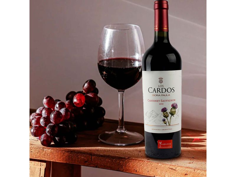 Vino-D-Paula-Cardos-Tin-Cab-S-750-Ml-4-62317