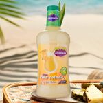 Mixer-La-Celebracion-Pi-a-Colada-1750ml-4-31533