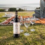 Vino-Castillo-De-Eneriz-Do-Navarra-750ml-4-32427