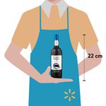 Vino-Tinto-Gato-Negro-Merlot-750ml-3-33850