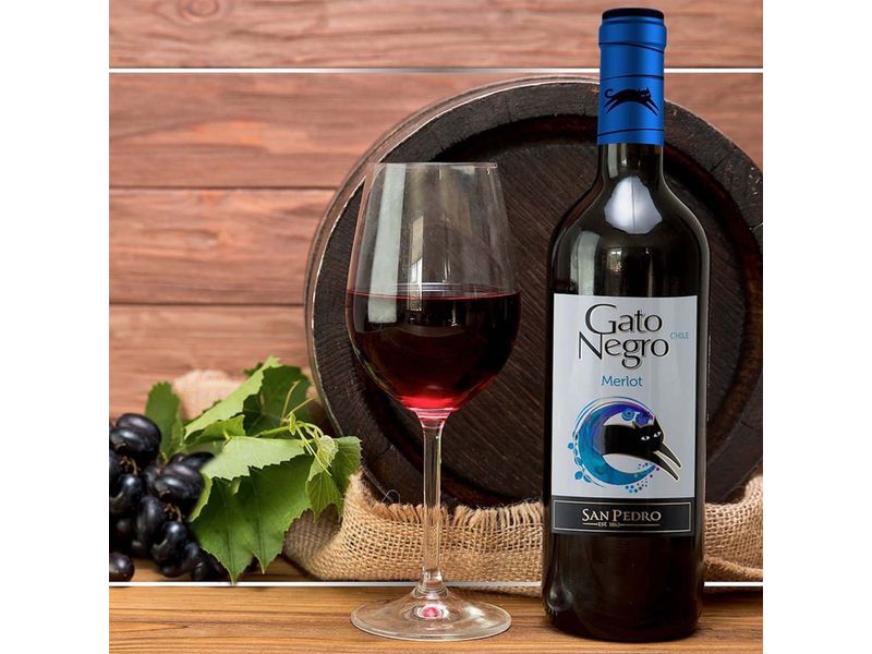 Vino-Tinto-Gato-Negro-Merlot-750ml-4-33850