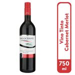 Vino-Tinto-Two-Oceans-Cabernet-Merlot-750ml-1-76015