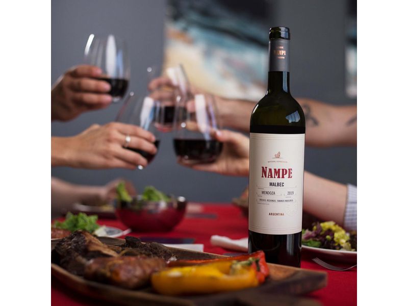 Vino-Los-Haroldos-Nampe-Malbec-750ml-4-69873