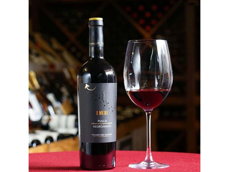 Vino-Tinto-Vigneti-Del-Salento-Negroamaro-750ml-4-74597