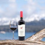 Vino-Saurus-Tinto-Merlot-Botella-750ml-4-35548