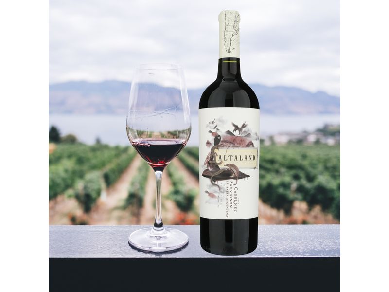Vino-Tinto-Vino-Altaland-Cabernet-750ml-4-87612