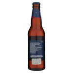 Cerveza-Samuel-Adams-Botella-355ml-2-28240