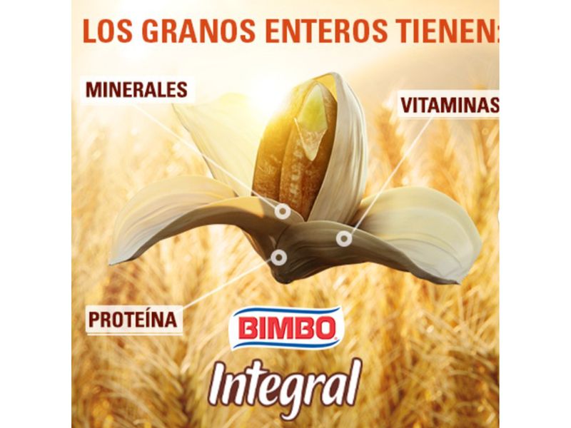 Pan-Bimbo-Sandwich-Integral-Fibra-Grano-Entero-530gr-4-25498