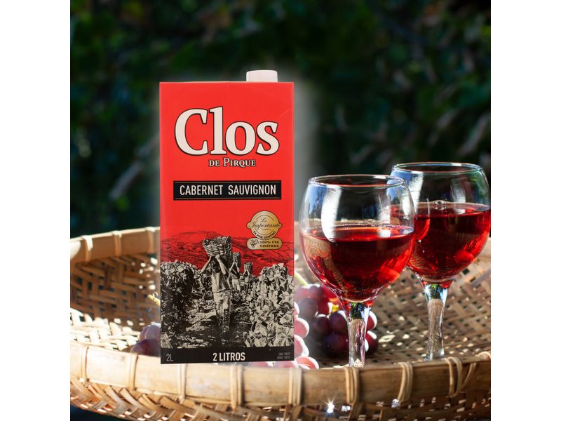 Vino-Clos-Dp-Cabernet-Tinto-Sauvignon-2000Ml-4-34606