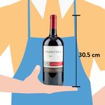 Vino-Tinto-Frontera-Concha-Y-Toro-Cabernet-1500ml-3-58238