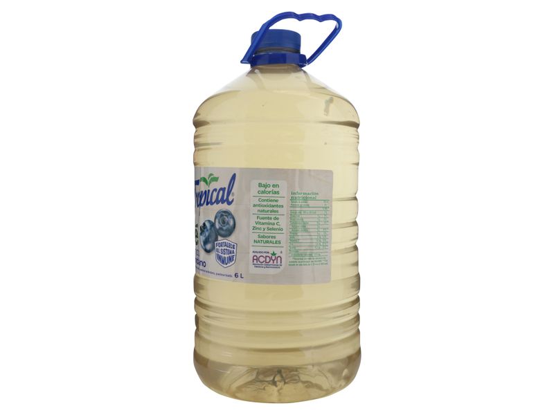 Refresco-Tropical-Te-Blanco-Pet-6000ml-2-32938