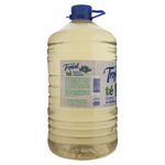 Refresco-Tropical-Te-Blanco-Pet-6000ml-3-32938