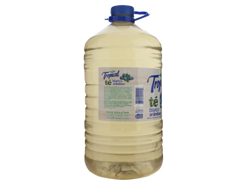 Refresco-Tropical-Te-Blanco-Pet-6000ml-3-32938